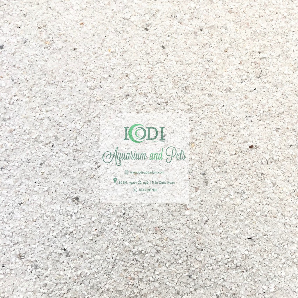 Cát trắng trải nền bể cá cảnh - bể thủy sinh