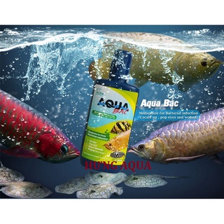Aqua BAC - Thuốc chữa bệnh cho cá rồng, cá hổ, cá Sam nhập khẩu Thái Lan