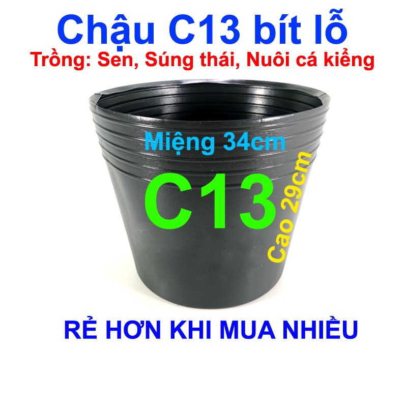 Chậu nhựa đen C13 bít lỗ trồng sen mini, nuôi cá, trồng cây thủy sinh, đựng rác, chứa nước