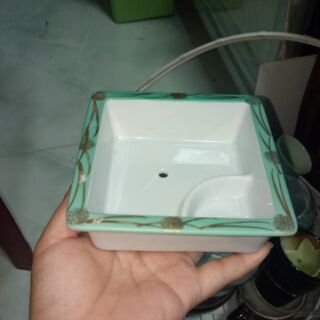 Chậu gốm nhật trồng sen đá