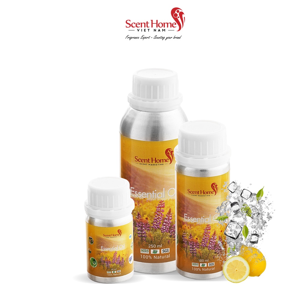 [Chính hãng] Tinh dầu Ice Age - Scent Homes ( Ice Age - 50ml,100ml,250ml)