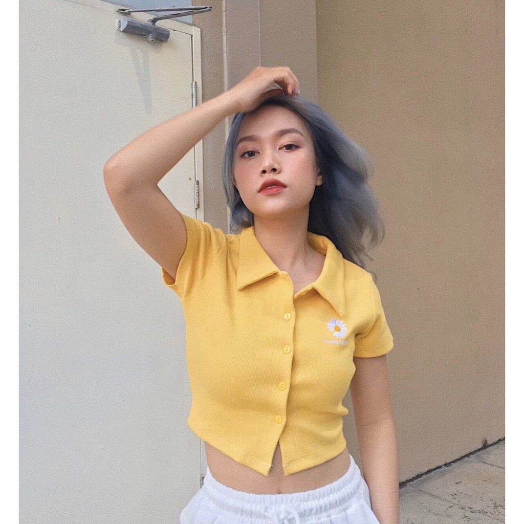 Áo croptop cổ bẻ thêu cúc họa mi siêu hot