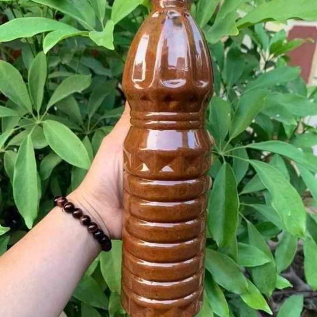 Mắm tép nghệ an