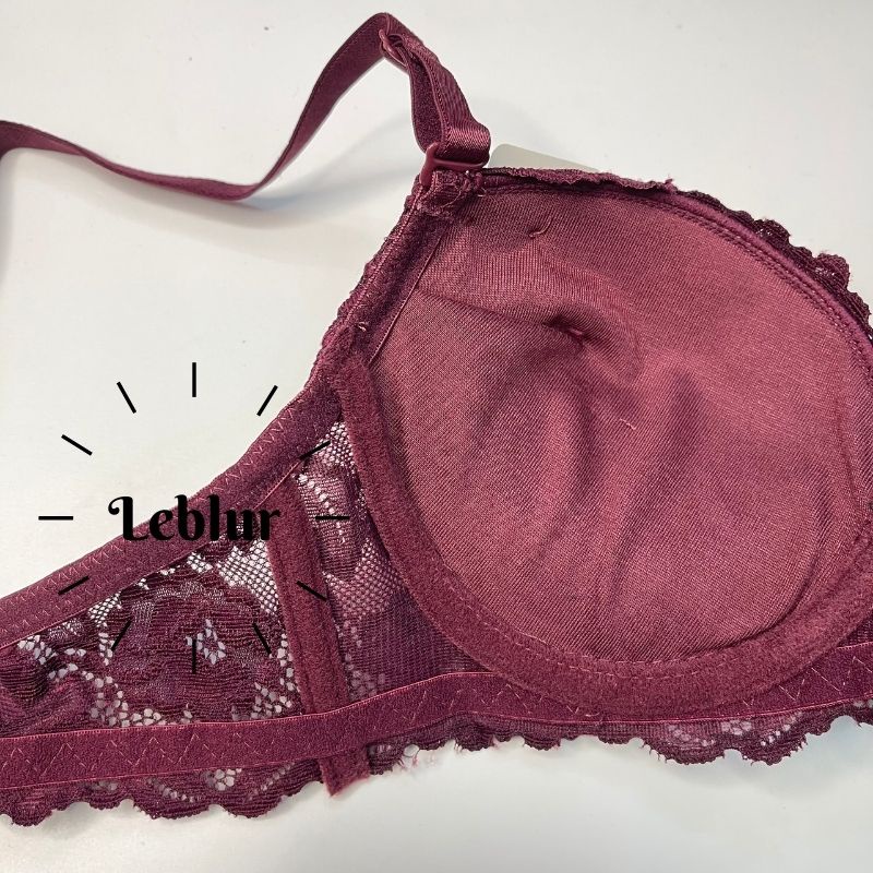Áo ngực ren cup B có gọng có mút dày 2cm, áo ngực Thái Lan Sisterhood 2440 cao cấp, Leblur