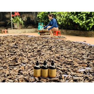 Dầu Gội Thảo Dược Cô Đặc