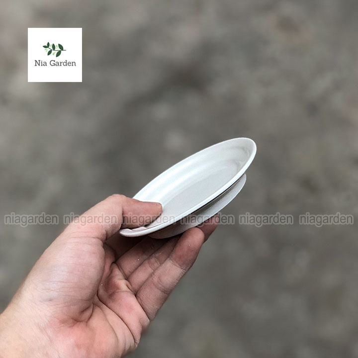 Đĩa lót chậu cây sứ trắng tròn 9cm - N6