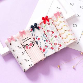 Combo 5 QUẦN LÓT TÚI ZIP