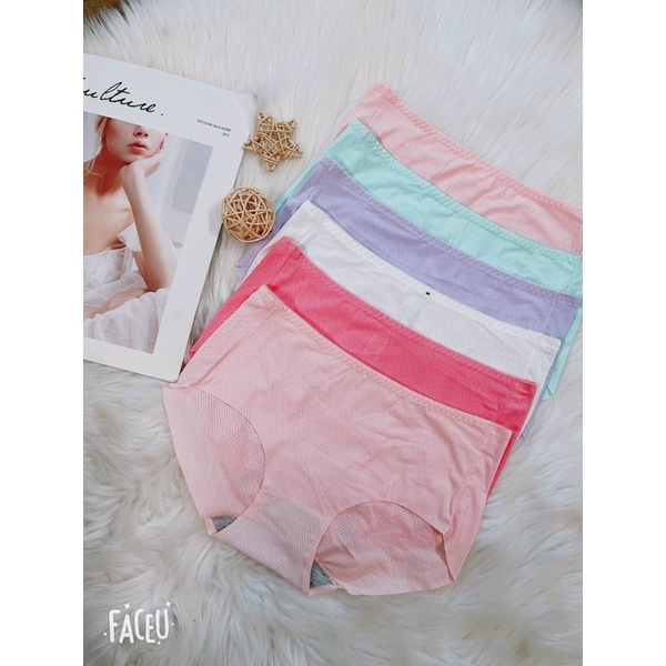 Quần lót su ép lạnh thông hơi siêu mát 206 (lẻ 1c)