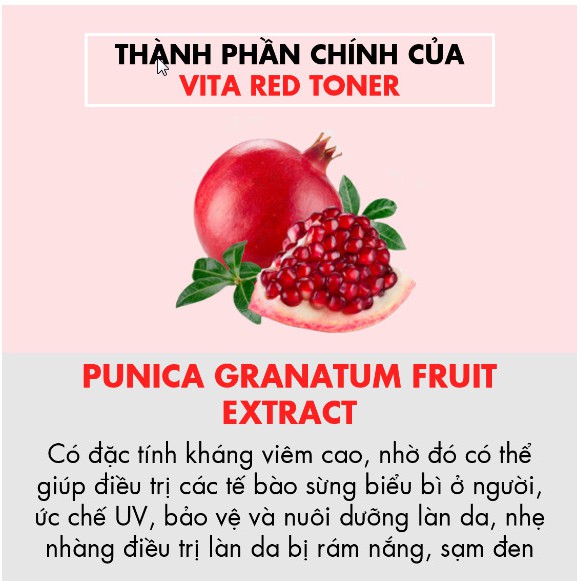 Nước cân bằng Tiam My Signature Vita Red Toner