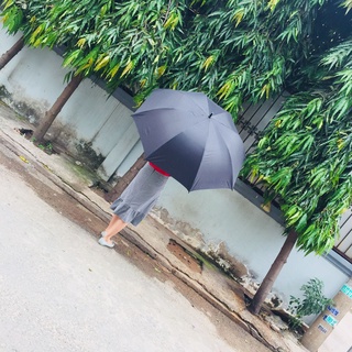 Dù Đi Mưa Tự Động Một Chiều Đen