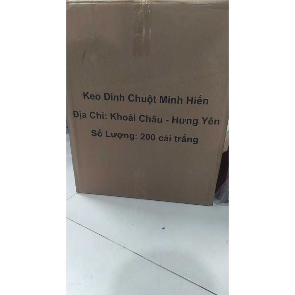 12 chiếc keo dính chuột Minh Phương - Minh Hiến