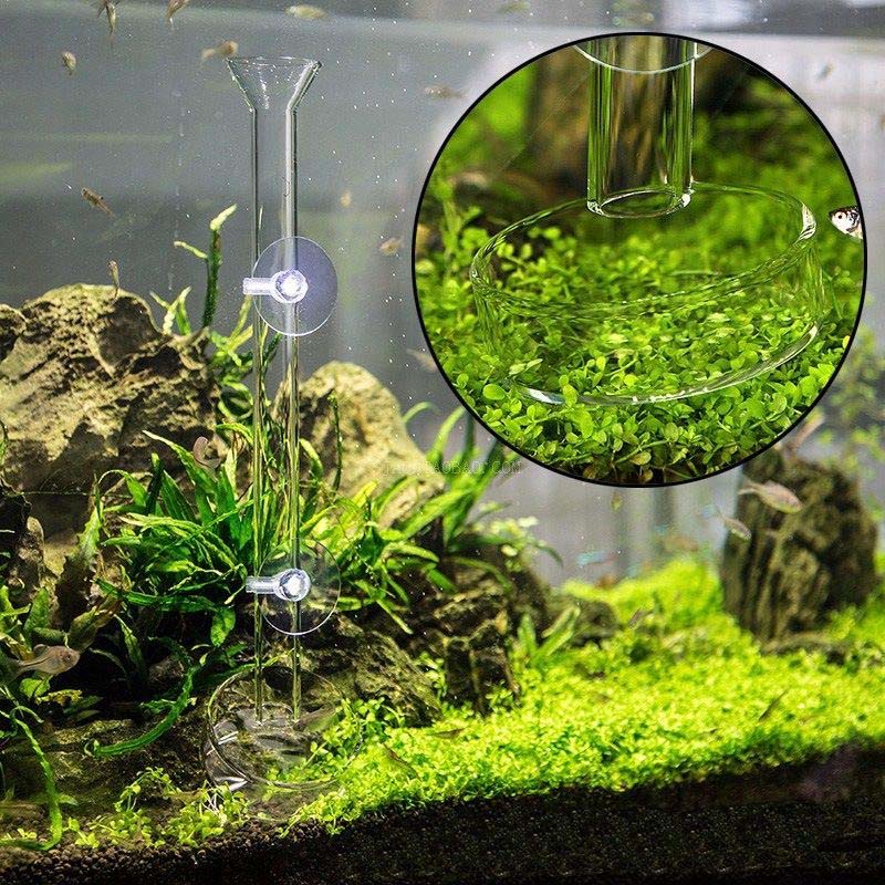 AQUARZOO Aquarium Feeding Tube Fish Feeder Tube Clear Acrylic Shrimp Feeding Tube and Suction Cups for Fish Tank Aquarium Shrimp Fish Dish