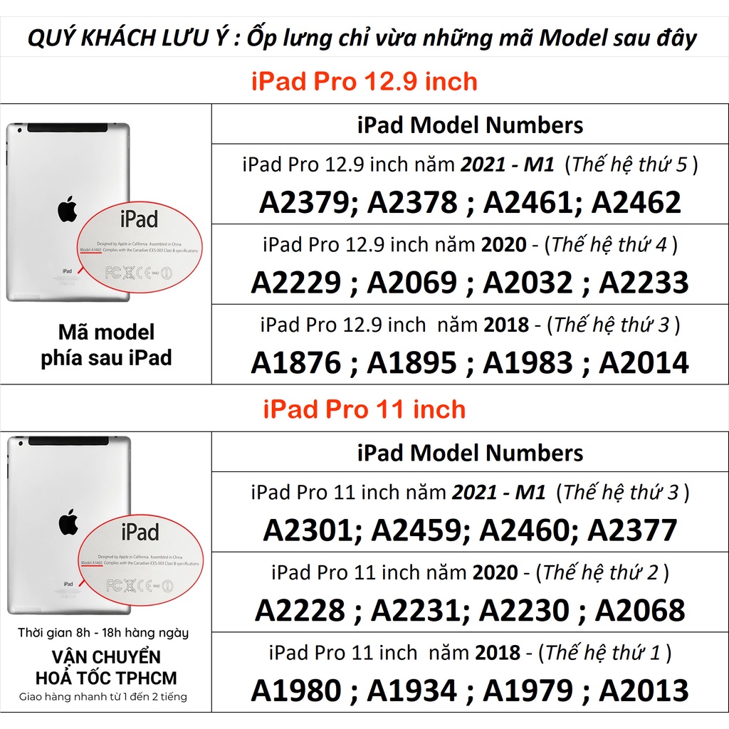 [Hỏa Tốc HCM] Ốp lưng XUNDD iPad Pro 11/ 12.9 inch (M1-2021/2020/2018) (BEETLE SERIES) Chống shock, Viền TPU, Lưng trong