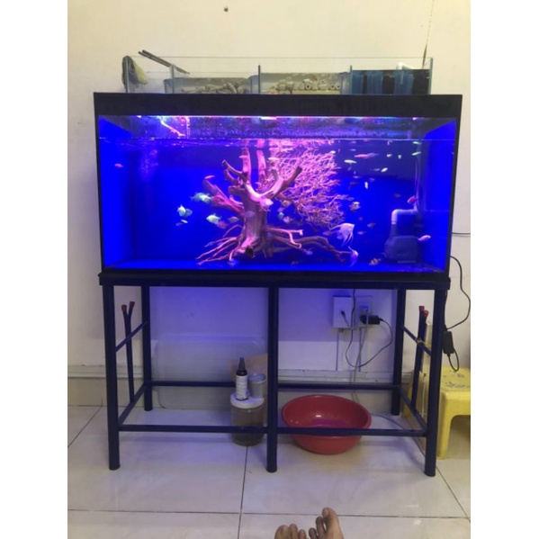 Hồ cá, Bể cá kích thước 80×40×50 cm DRC