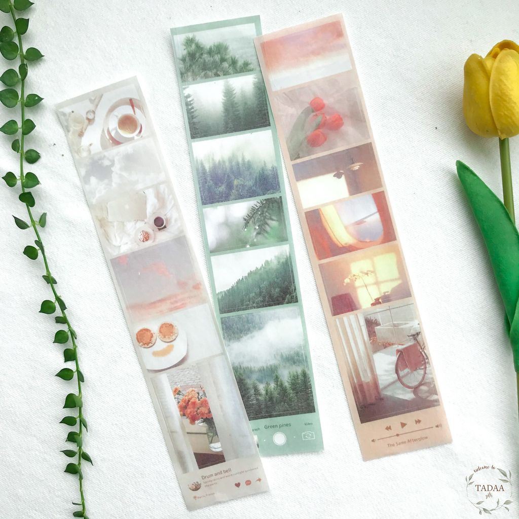 Sticker vintage hoa tulip đỏ, coffee, cây thông và bầu trời trang trí