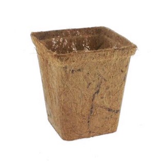 Chậu xơ dừa vuông trung
