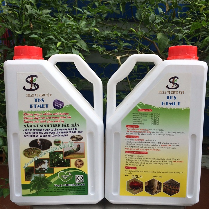 BTMET-NẤM 3 MÀU: Vi Nấm Kí Sinh Diệt Trừ Sâu Rầy Hại Cây Trồng