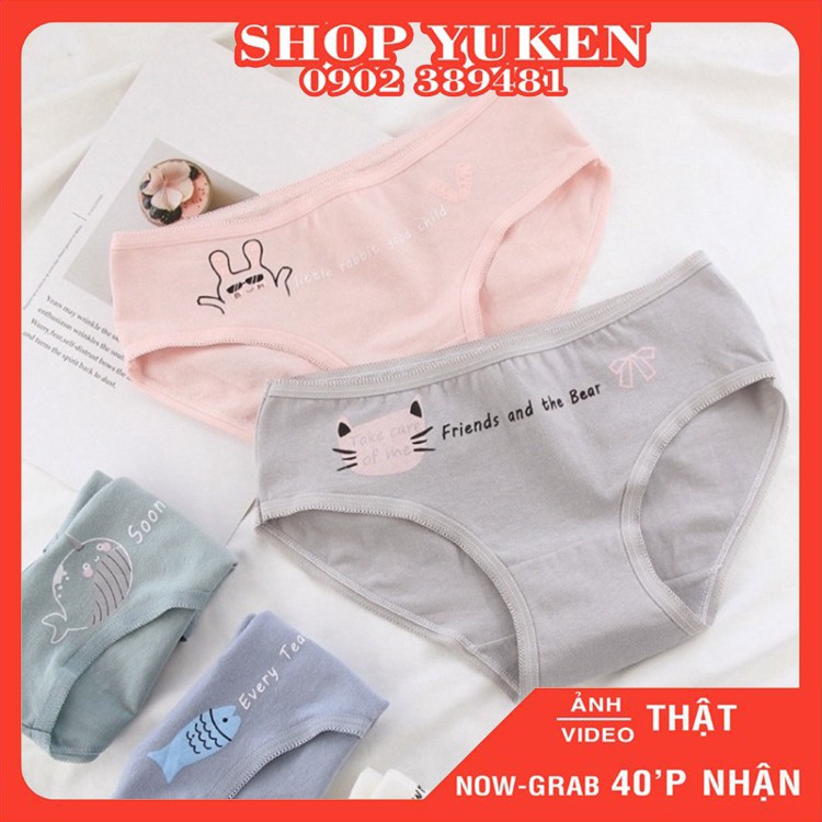 ♥️ Quần Lót Nữ ♥️ Combo 5 Quần Lót cotton Nữ Thoáng Mát