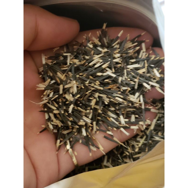 Hạt Giống Hoa Cúc Vạn Thọ Kim Tinh Mỹ F1 - 50 hạt