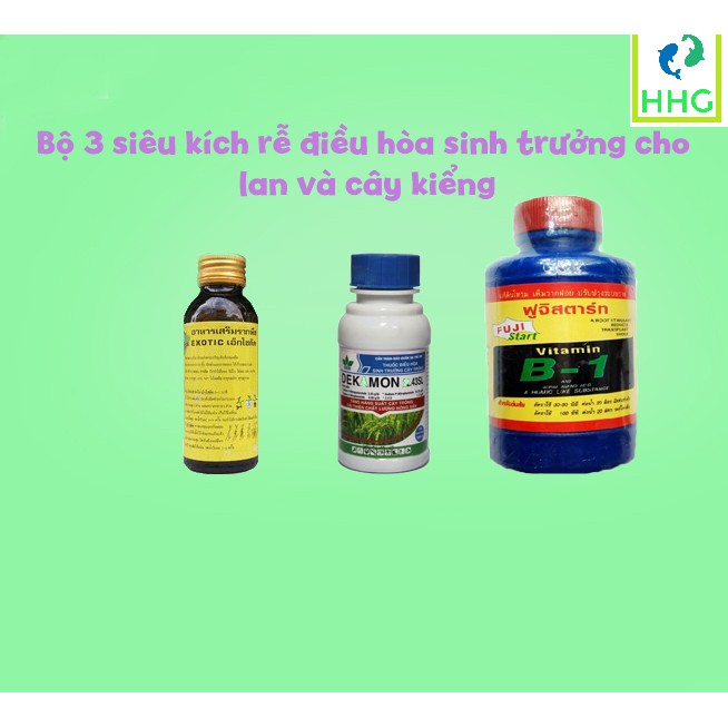 COMBO BỘ 3 SIÊU KÍCH RỄ  DEKAMON 22.43SL - VITAMIN B1 THÁI LAN 100ML - Exotic  ĐIỀU HÒA SINH TRƯỞNG CHO LAN VÀ CÂY KIỂNG