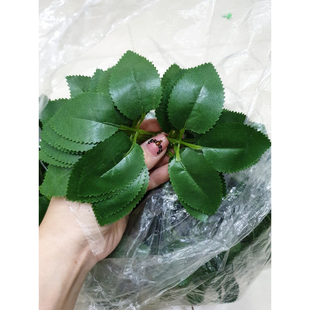 1kg lá hoa hồng