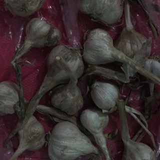 Hành ta, tỏi ta nhánh nhỏ nhà trồng dư