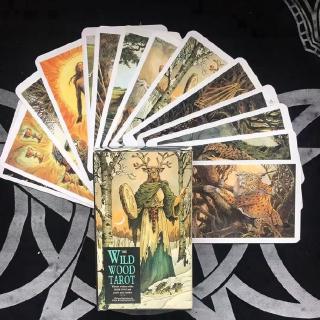 ❀Spot Hot❀ Wild Wood Tarot English Mysterious Animal Playing Cards Game
