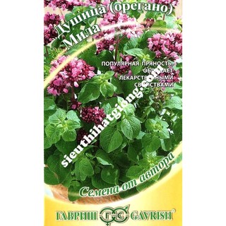 Hạt Giống Oregano (0,1g)