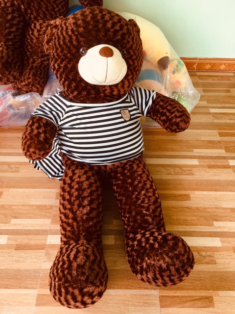 Vỏ gấu bông teddy + áo 80 cm