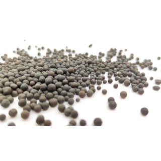 Phân nền EverGreen Plant Substrate Soil bao 5kg