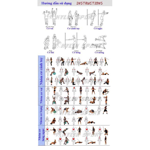 🍀 NEW 🍉 Bộ 5 dây kéo chất lượng tập gym có hộp. Hàng loại 1 ! 🍉 . Sales Thu : . . ' . . ˢ . )