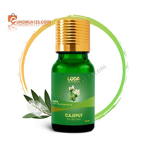 Tinh dầu Tràm Gió – nguyên chất – Cajeput essential oil