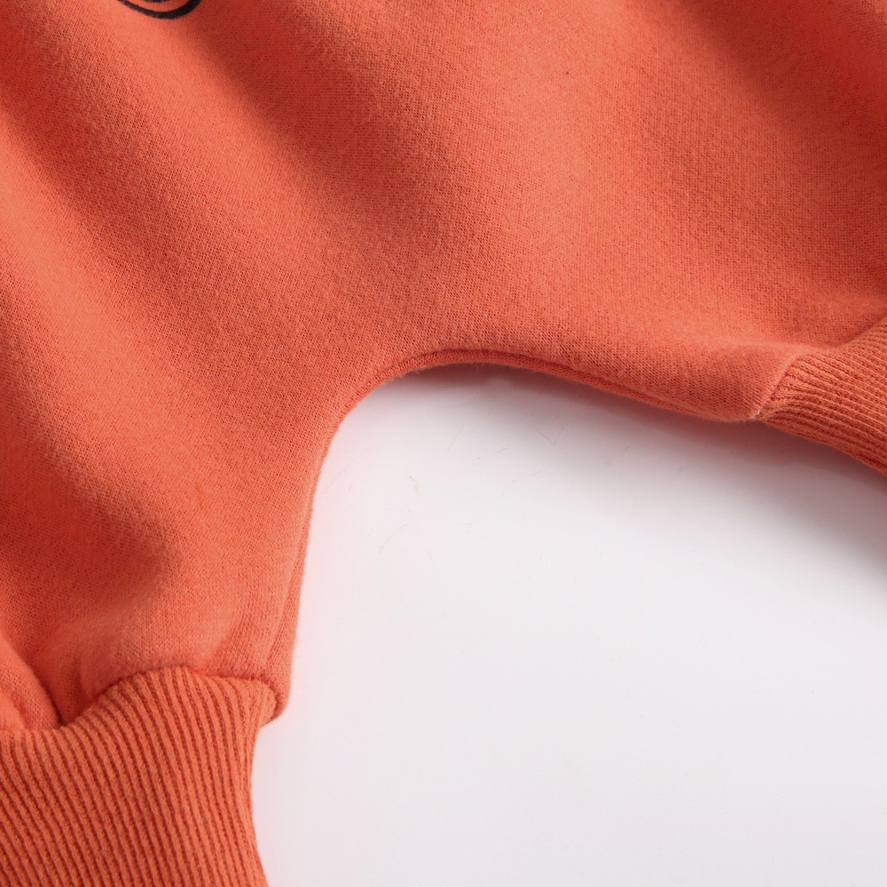 Bộ 2 Món Áo Và Quần SANLUTOZ Họa Tiết Hoạt Hình Đơn Giản Cho Em Bé