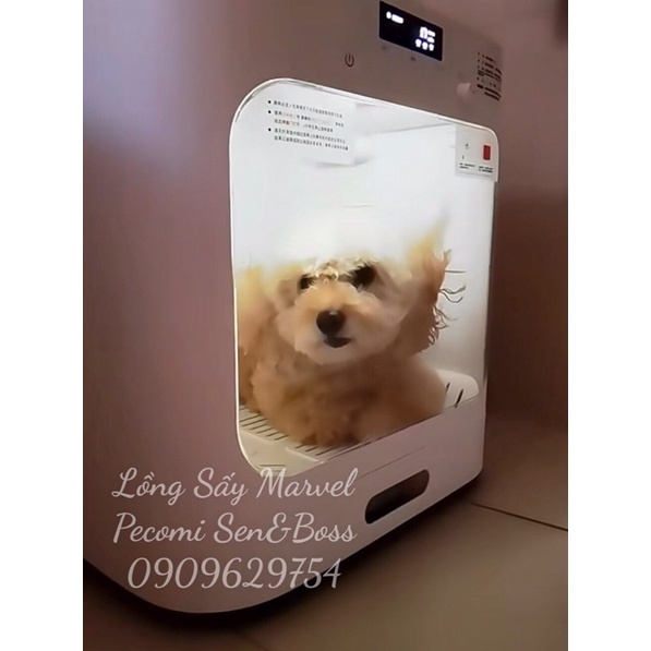Máy Lồng Chuồng Sấy Lông Thú Cưng Chó Mèo Marvel.