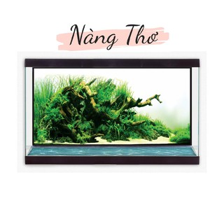 DECAL HỒ CÁ_TRANH 3D CÂY THUỶ SINH