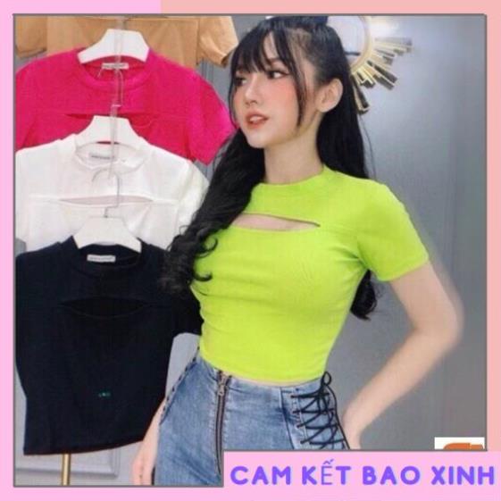 Áo croptop nữ thun Borip kiểu khoét ngực (Video) [Hàng Đẹp]