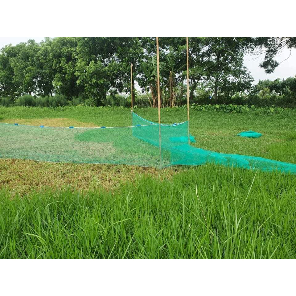 Đăng chặn sông, cống - bắt tôm tép tất cả các loại cá - Dớn bắt cá, cua, lươn 30/50
