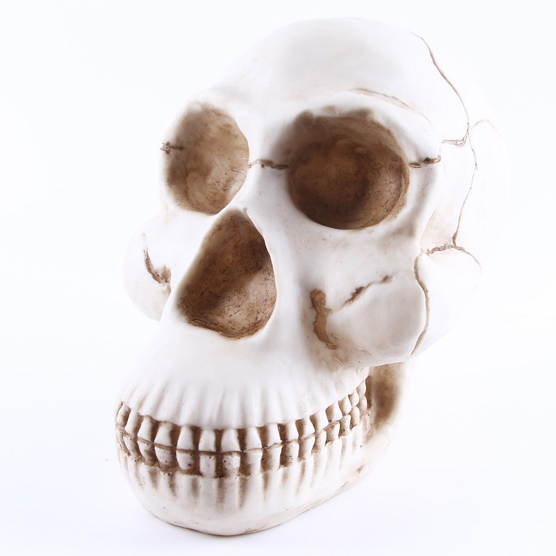 Mô Hình Đầu Lâu Gorillas Bằng Nhựa Resin Trang Trí Nhà Cửa Dịp Halloween
