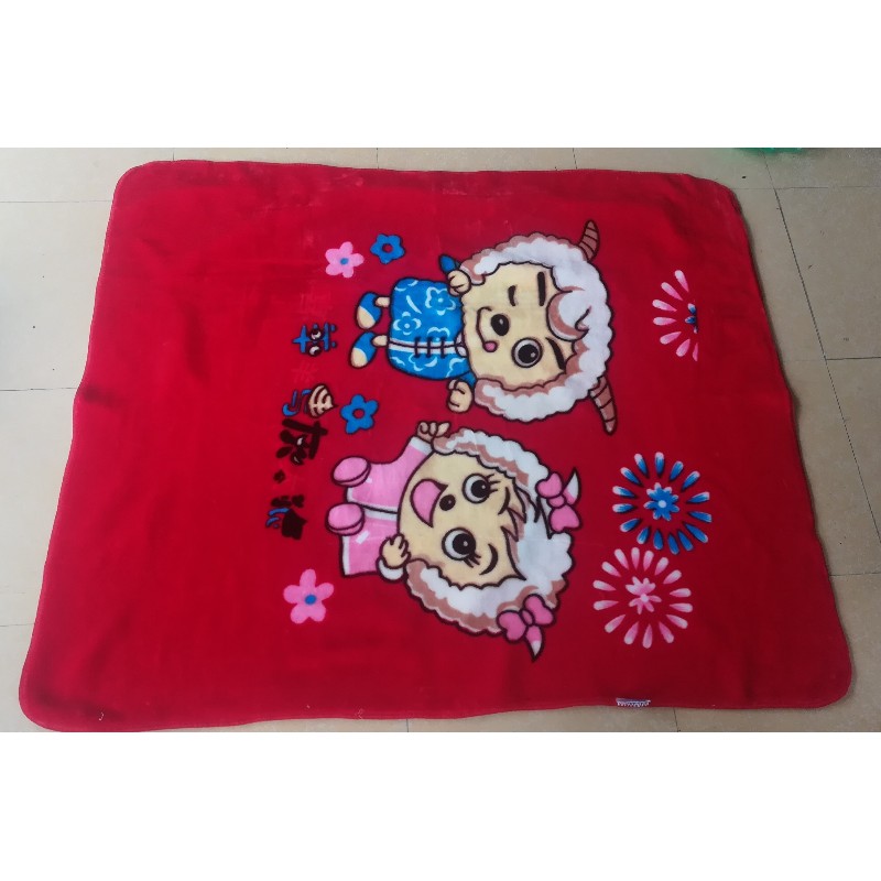 Chăn băng lông 2 lớp loại đẹp