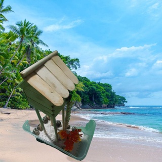 Nhà tre cho ốc mượn hồn,dế