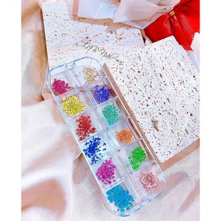 Sét hoa khô nhí - hoa khô chùm trang trí ẩn móng nail