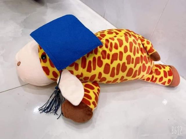 GẤU Bông Huơu Grow