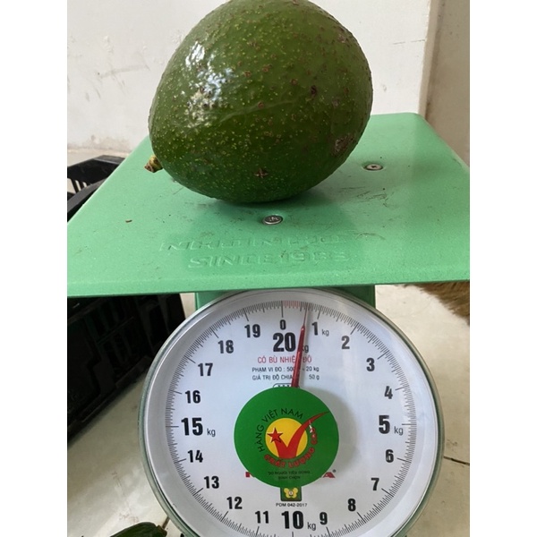 Bơ booth sạch hàng sẵn tại HCM