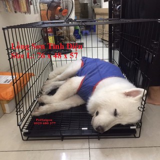 LỒNG CHUỒNG CHÓ MÈO
