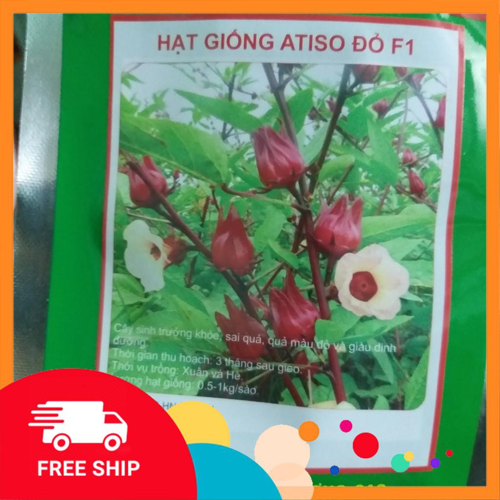 5 Hạt giống Atiso đỏ (Bụt dấm) (tặng gói Kích nẩy mầm và Hướng dẫn) KHUYẾN MẠI TRONG NGAY