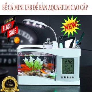 Bể cá mini kiêm đồng hồ để bàn siêu siêu hót
