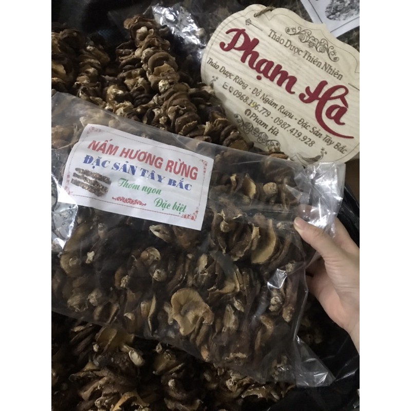 Nấm hương rừng Sapa, đặc sản Tây Bắc chuẩn ngon, hàng loại 1, giàu dinh dưỡng