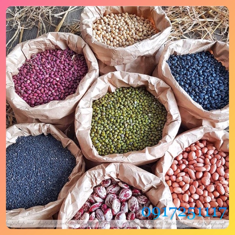 CÁC LOẠI ĐẬU NHÀ TRỒNG