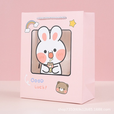 Túi đựng quà giấy sang trọng, Túi gấu gói quà nhiều màu đẹp