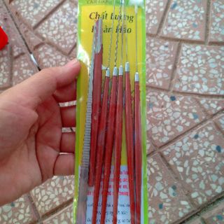 Bộ dụng cụ lấy ráy tai